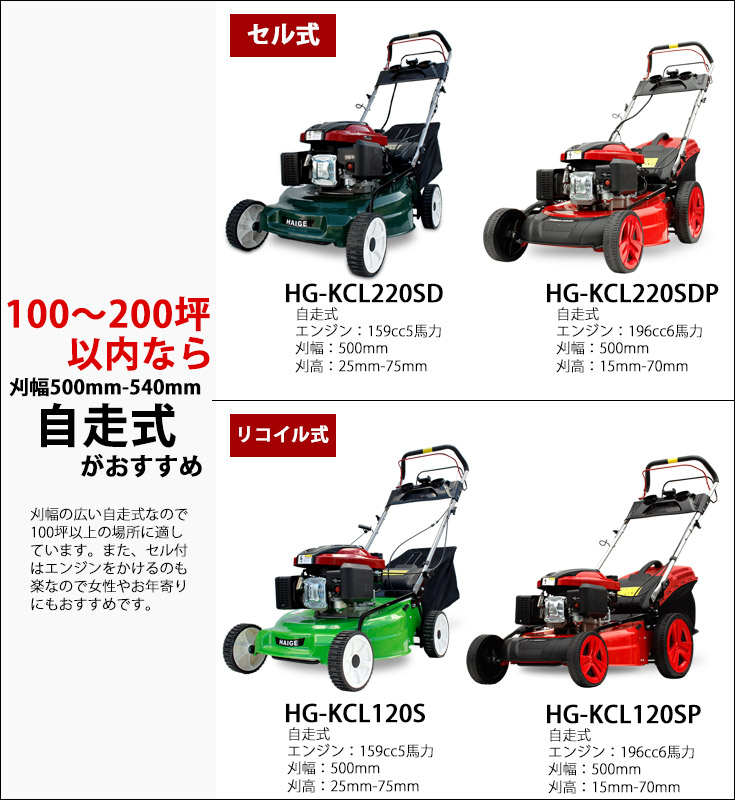 100坪以内