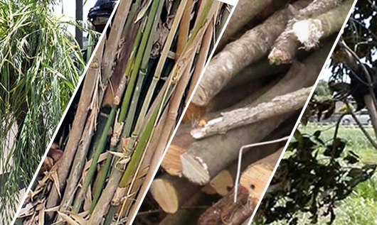 逆回転で解消！